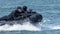 Navy military special force team in action with guns and black diver suites