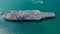 Navy Nuclear Aircraft carrier, Military navy ship carrier full loading fighter jet aircraft, Aerial view