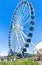 Navy Pier Ferris wheel Chicago Illinois