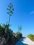 Naxos landscape