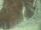 Nazca Lines: The Astronaut