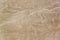 Nazca Lines Monkey Closeup