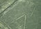 Nazca Lines: The Spider