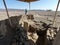 Nazca mummies at Chauchilla Cemetery, Nazca, Peru