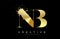 NB N B Letter Logo with Gold Melted Metal Splash Vector Design