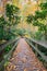 NC Pedestrian Footbridge Autumn