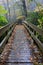 NC Pedestrian Footbridge Autumn Rain