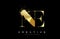 NE N E Letter Logo with Gold Melted Metal Splash Vector Design