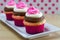 Neapolitan Cupcakes