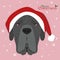 Neapolitan Mastiff dog with red Santas hat