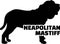 Neapolitan Mastiff silhouette real word