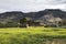 Near El Padul in Andalusia, Spain lies the lagoon of the Ecrin Valley, a protected area of â€‹â€‹the Sierra Nevada Natural Park.