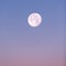 Near Full Moon Rising in Pastel Pink and Blue Winter Sky