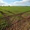 near Great Driffield East Yorkshire England