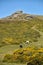 Near Haytor, Dartmoor Devon UK