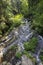 Near of Little River White Opava in Moravia, mountain Jesenik, very green and clear wild Nature, Czech Republic