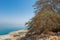 Near the oasis of Ein Gedi In the background the Dead Sea in Is