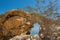 Near the oasis of Ein Gedi In the background the Dead Sea in Is