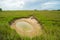 Nearly dried up water hole in Merritt Island National Wildlife refuge..