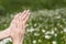 Neat manicure on short nails background field. Gentle summer manicure