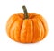 Neat pumpkin on white