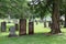 Neat rows of large headstones and memorials honoring residents under shady trees, Oakwood Cemetery, Chittenango, New York, 2018