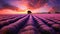 Neat rows of lavender bushes under a serene, purple-hued sky during