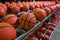 neatly lined up basketballs on metal rack