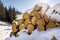 Neatly piled stack of chopped dry trunks wood covered with snow outdoors on bright cold winter sunny day, abstract background,