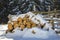 Neatly piled stack of chopped dry trunks wood covered with snow outdoors on bright cold winter sunny day, abstract background,