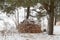 Neatly stacked pile of firewood in the winter