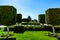 Neatly trimmed cubic bushes in Abu Dhabi near the mosque