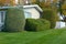 Neatly Trimmed Shrubs 2