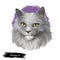 Nebelung cat longhaired Russian Blue breed isolated on white background. Digital art illustration of hand drawn kitty for web.