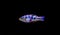 Nebulous wrasse fish - Halichoeres nebulosus