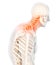 Neck painful - cervical spine skeleton x-ray, 3D illustration.