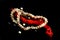 Necklace, coral, pearls and shells on a black background