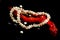 Necklace, coral, pearls and shells on a black background