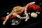 Necklace, coral, pearls and shells on a black background