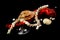 Necklace, coral, pearls and shells on a black background