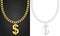 Necklace with dollar sign