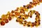 Necklace made of natural multi-colored amber. Solid translucent fossilized resin from extinct tertiary conifers. Decoration, beads