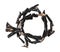 Necklace from polished black coral twigs on white