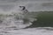 Necochea City, Argentina April 2019 suf Â¬ bodyboard