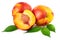 Nectarine organic fruits with leaves on white background