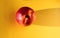 Nectarine on a yellow background. Fruit on a bright background