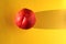 Nectarine on a yellow background. Fruit on a bright background