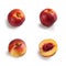 Nectarines in Group of Four â€“ Bunch of Arranged, Smooth, Cut Open, Halved Peach Variety