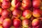 Nectarines in Rows â€“ Large Group of Arranged Smooth Peaches, Market Box