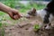 they need your help! person feeds a homeless cat with fish, take care